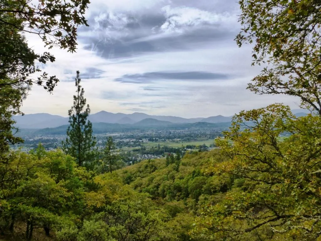 Forest landscape in Southern Oregon